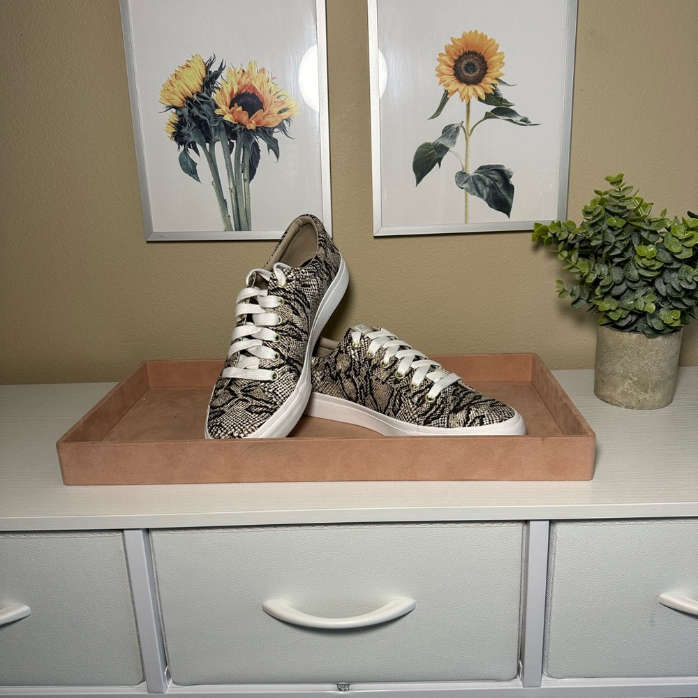Ked’s Jump Kick Lace Up Snake Print shoes